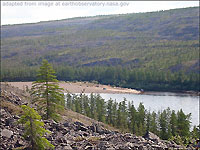 Siberian Natural Scenery, with River, Trees, Hills