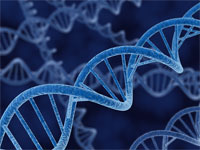 DNA file image