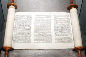 Torah Scrolls