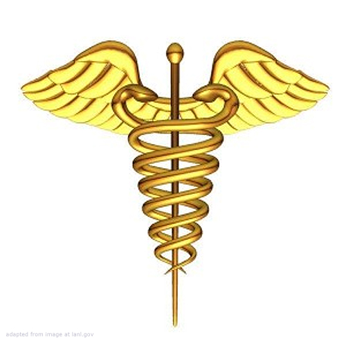 Medical Symbol with Pole, Serpents, Wings