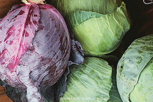 Red Cabbage and Green Cabbages, adapted from image at pnnl.org