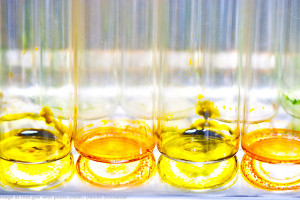 File Photo of Test Tubes with Algae Displaying Different Colors, Part of U.S. Energy-Related Research; from nrel.gov