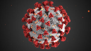 Covid-19 Coronavirus file photo, adapted from image at cdc.gov