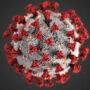 Covid-19 Coronavirus file photo, adapted from image at cdc.gov
