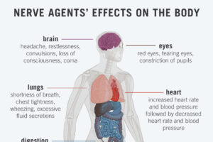 Nerve Agent Effects Body Chart, adapted from image at shareamerica.gov with credit to CDC